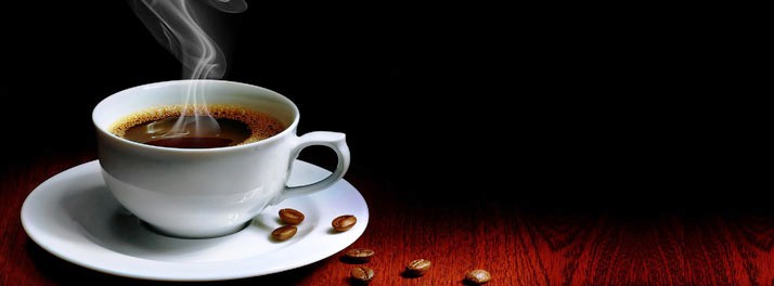 741/Cochin Seaport Hotel - Kochi 06.jpg